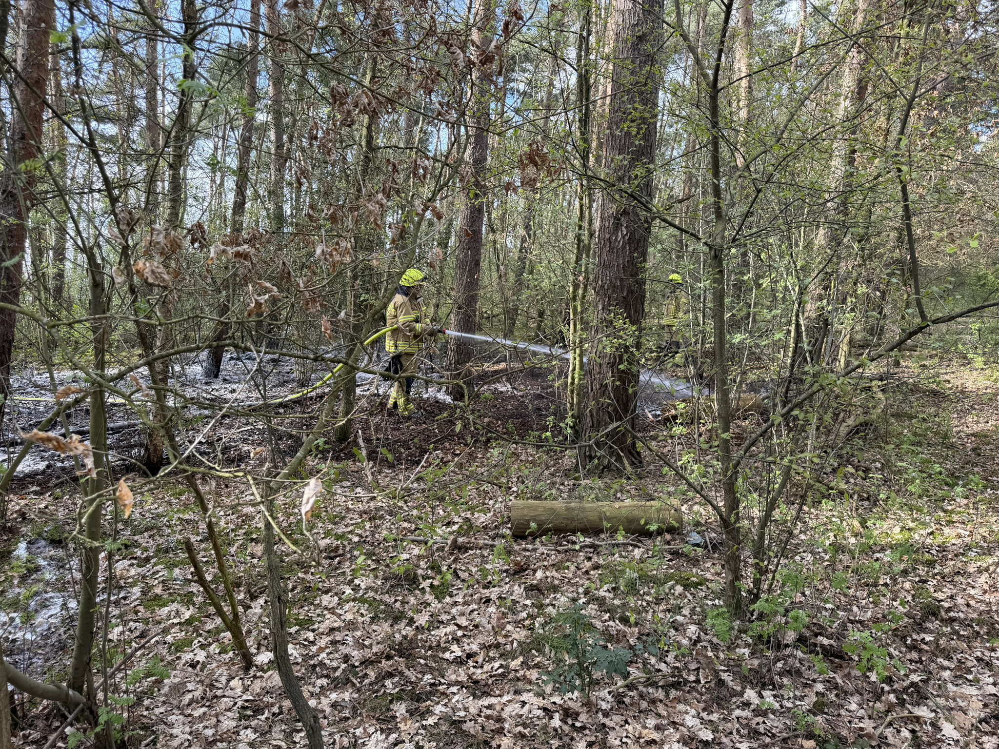 Einsatz%202026-04-08%20Waldbrand%20Waldheim%20%285%29